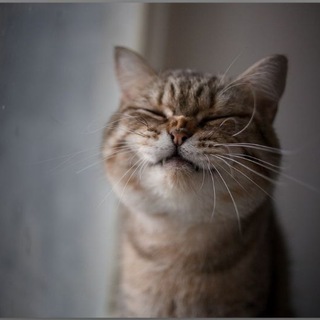 Денис Кисулькенович