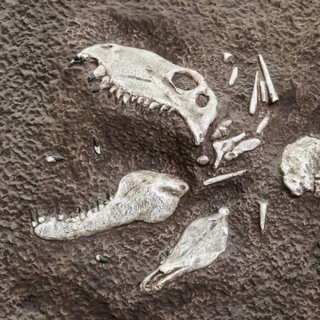 Депопуляция