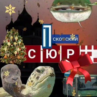 ПСКОВСКИЙ СЮР