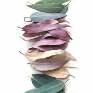 Все о дизайне