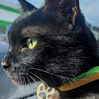 Выжить после.....😅🤦