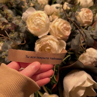 𝕤𝕖𝕕𝕒𝕥𝕚𝕠𝕟🖇