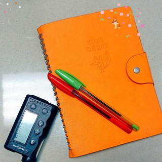 Диа Правовед