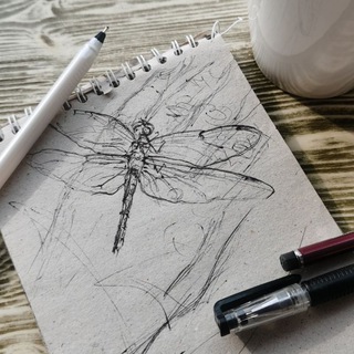 Дневник художника