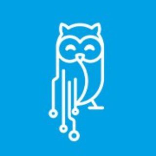 Digital Pre-University Faculty