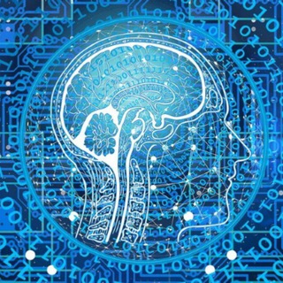 Цифровой южанин