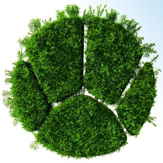 ЖИВАЯ ПЛАНЕТА