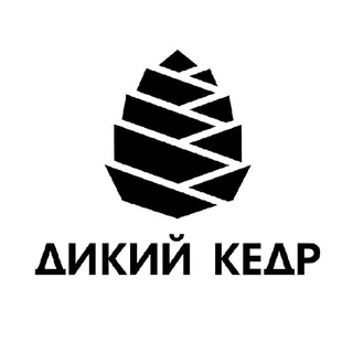 Кедровый напиток ДИКИЙ КЕДР