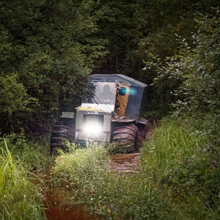 DikoBraZZ и Дебри ✔