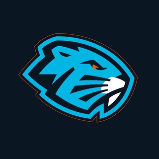 ХК Динамо-Шинник | HC Dinamo-Shinnik