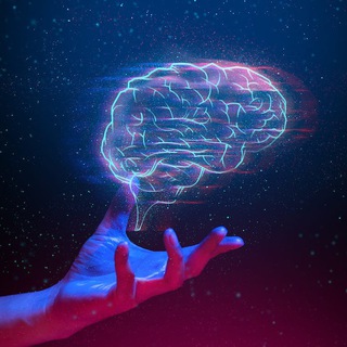 Дисциплина l Саморазвитие