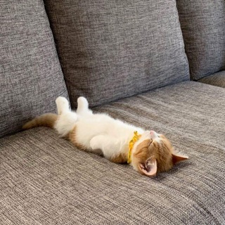 Диванчик - Юмор+Новости