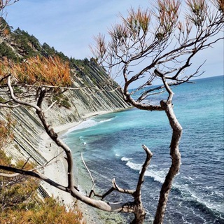 Дивноморское