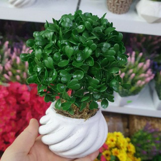 BARBARIS HOME🇨🇳