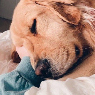 Солнышко😘😘🎁