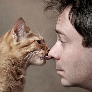 Дмитрий Куклачев