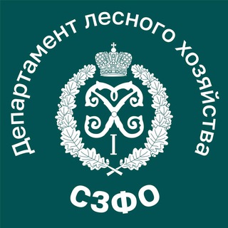 Департамент лесного хозяйства по СЗФО