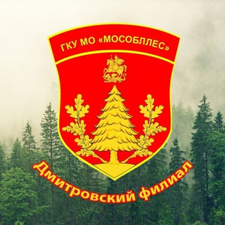 Дмитровский филиал ГКУ МО «Мособллес»🌲
