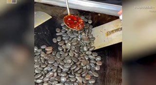 НАПРАВЛЕНИЯ