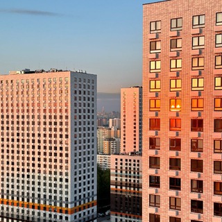 🌇 ДП :: дайджест