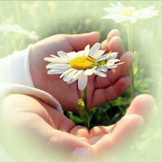 ДобронаГлавном