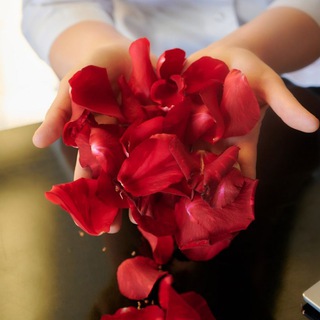 Доктор Дьяконова