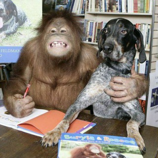 собачья няня