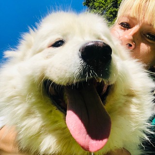 Iran_animals20 Помощь животным Одинцовский район