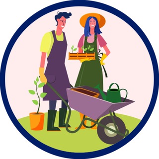 Подмосковные вечера