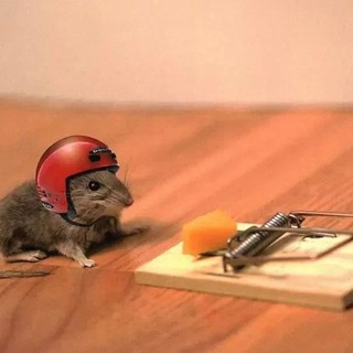 Аукцион Доменов