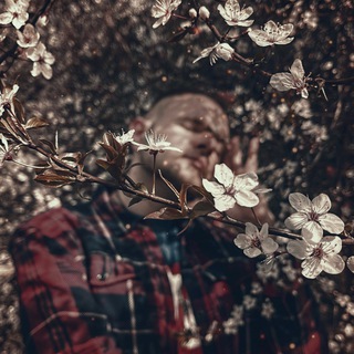 ДОМ НЕ ГУЧЧИ