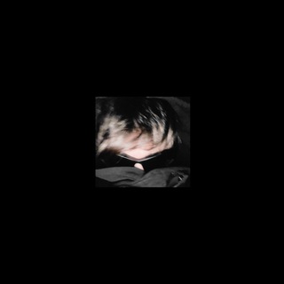 думбрейкер