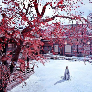 𝐃𝐎𝐑𝐀𝐌𝐀𝐋𝐈𝐅𝐄