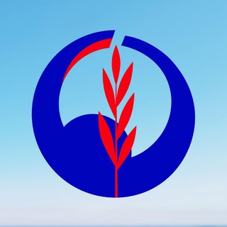 Дорога Жизни || 55-й международный марафон им Г.И. Колгашкина