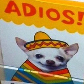 СЛЕПОЕ ЕБЛО