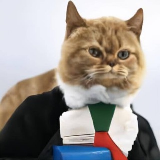 Ор с доставкой