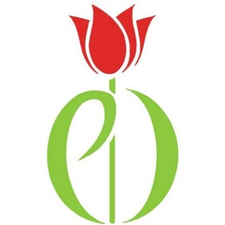 Доктор Паркинсонолог👩‍⚕