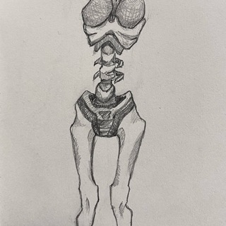 диеты | похудение | диеточки