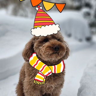 лисёнок пирожочек