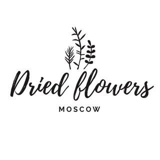 Dried Flowers Moscow | Сухоцветы | Стабилизированные цветы