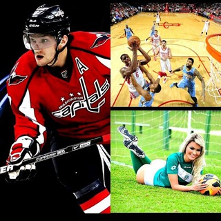 Прогнозы,Аналитика.