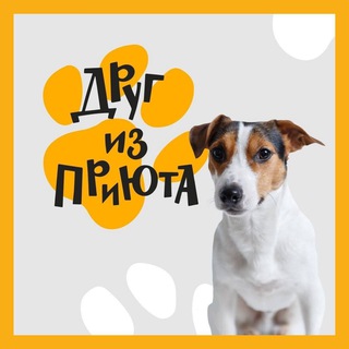 Друг из приюта FABERLIC