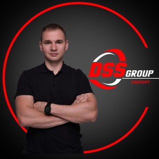 DSS Group импорт