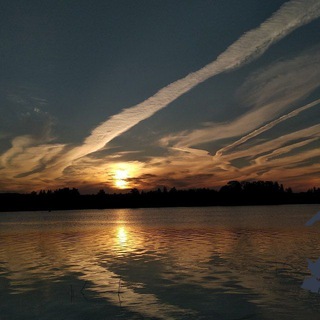 ⚡️ДТП и ЧП | Ленинградская область Он-Лайн | СПб