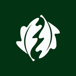 Молодёжный лагерь «Дубрава»