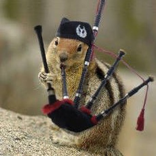 Волынка моей души🐂🚶‍♂️🧎