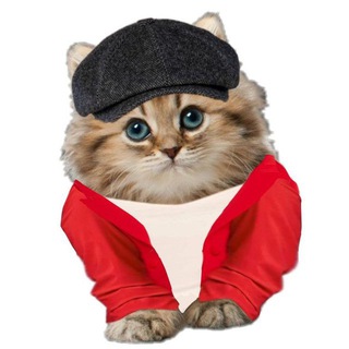 это всё. |юрка и никитка|