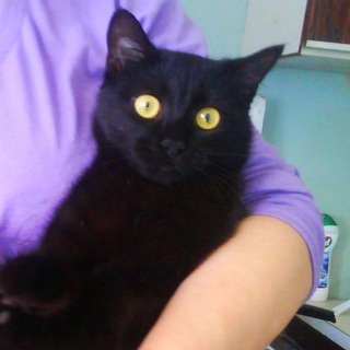 это надо записать