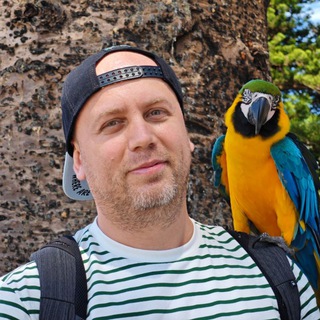 Лысый из МТ