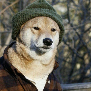 фанат Канье